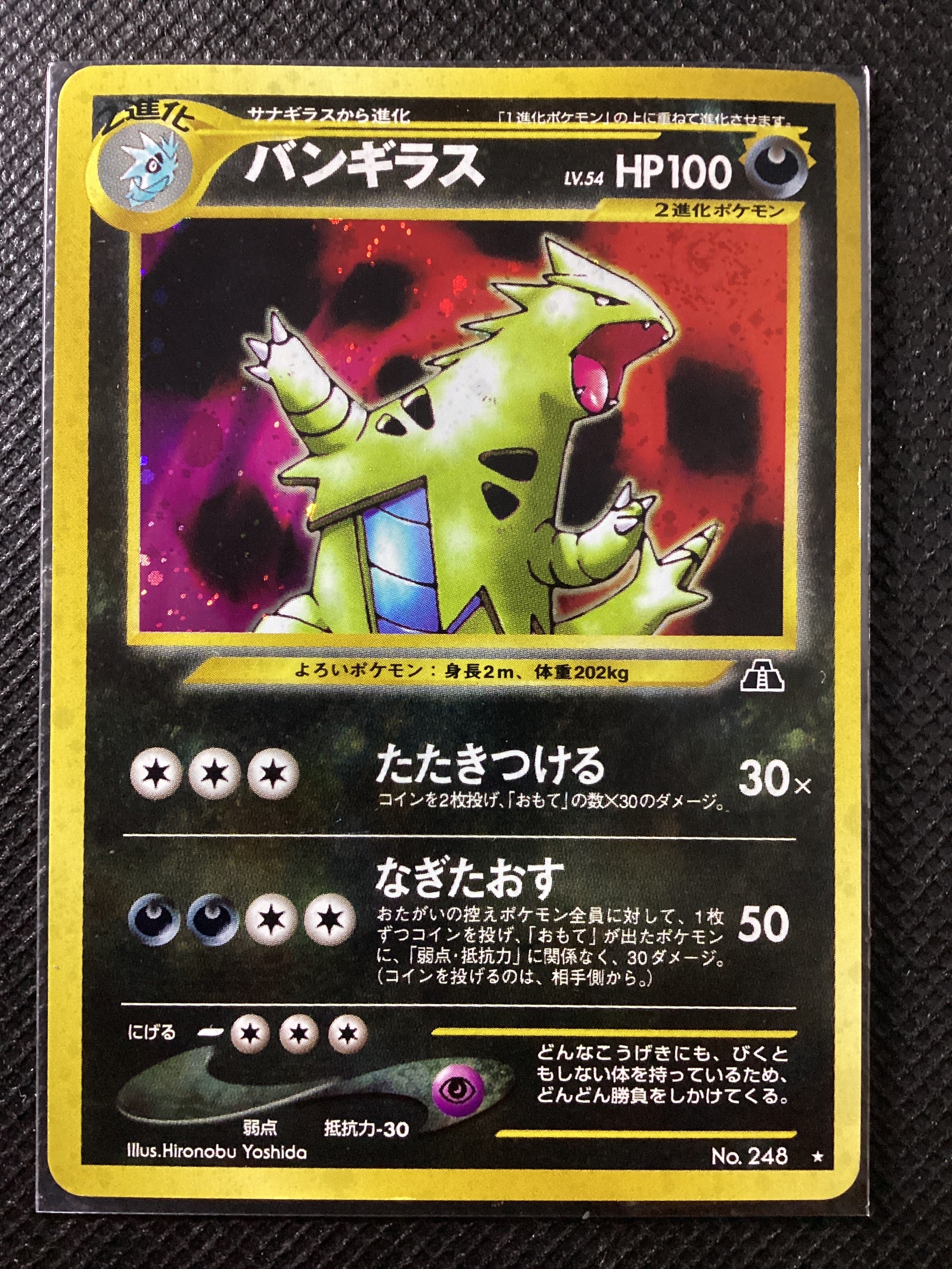 248 Tyranitar N2 Crossing the Ruins... JAP EXCELLENT