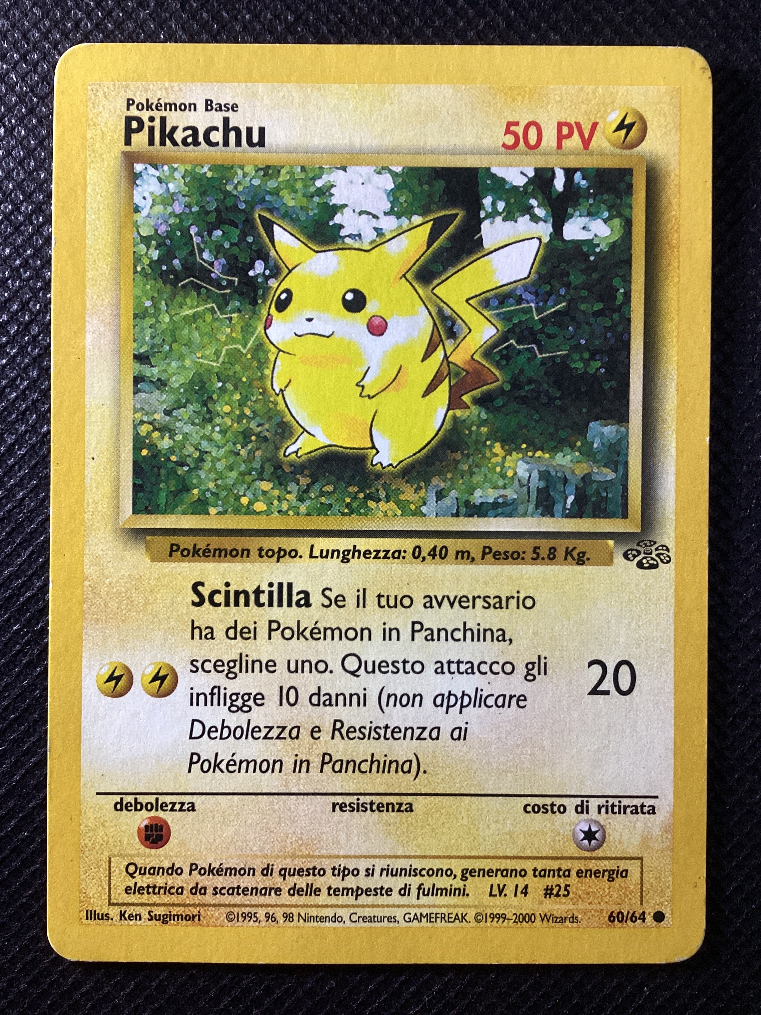 060-062 Pikachu Jungle ITA GOOD