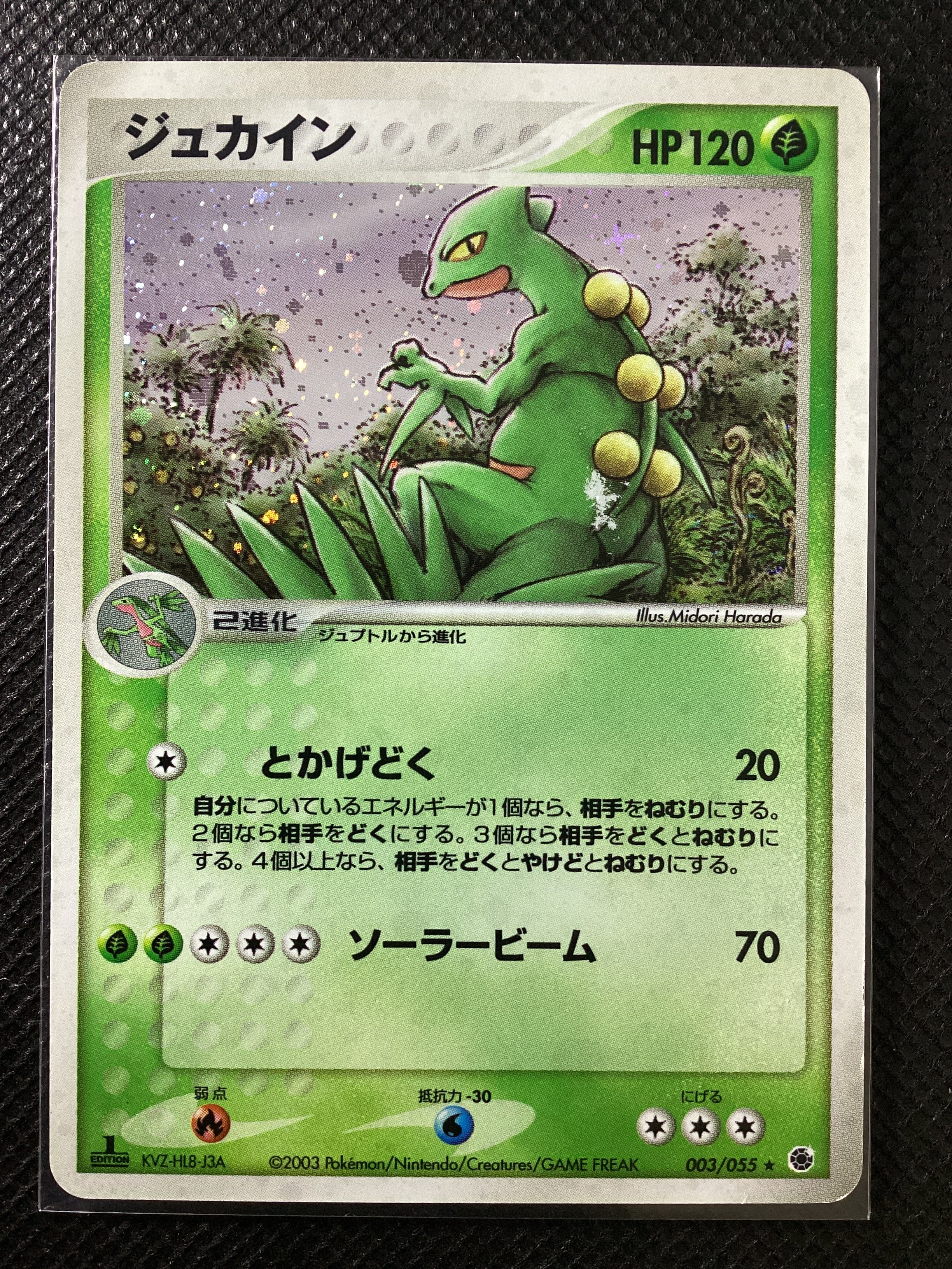 003-055 Sceptile ADV1 ADV Expansion Pack JAP GOOD