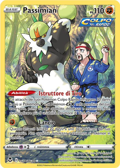 223-195 TG08-TG30 Passimian Trainer Gallery SIT Tempesta Argentata ITA NM