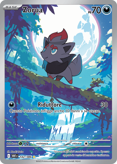 142-086 Zorua Illustrazione Rara WHT Fuoco Bianco ITA NM